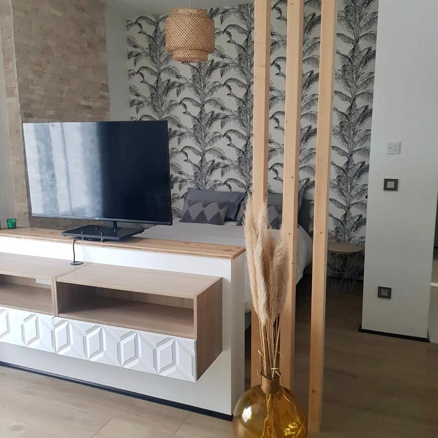Studio Calme-Equipements Haut De Gamme Sarreguemines Eksteriør billede